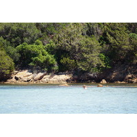 照片 法国(France) 科西嘉岛(Corsica) 龙迪纳拉海滩(Rondinara Beach) 2017-07 12