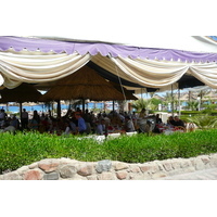 照片 埃及(Egypt) 沙姆沙伊赫(Sharm el Sheikh) 2008-06 100