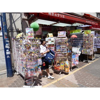 照片 日本(Japan) 东京(Tokyo) 上野(Ueno) 2010-06 4