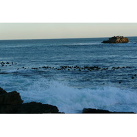 照片 南非(South Africa) 赫曼努斯(Harmanus) 2008-09 272