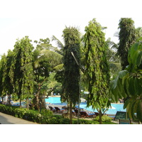 照片 泰国(Thailand) 宗甸海滩(Jomtien Beach) 宗甸宫殿大酒店(Grand Jomtien Palace Hotel) 2004-10 15