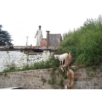 照片 巴基斯坦(Pakistan) 穆里(Murree) 2006-08 164