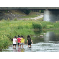照片 日本(Japan) 京都(Kyoto) 鸭川(Kamo River) 2010-06 27