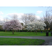 照片 英国(United Kingdom) 伦敦(London) 2001-04 16