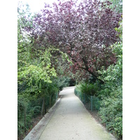 照片 法国(France) 巴黎(Paris) 肖蒙山丘公园(Parc des Buttes Chaumont) 2007-08 175