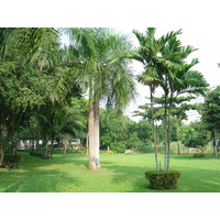 照片 泰国(Thailand) 宗甸海滩(Jomtien Beach) 宗甸宫殿大酒店(Grand Jomtien Palace Hotel) 2004-10 25