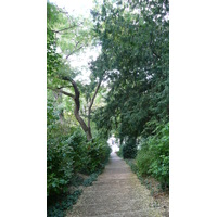 照片 法国(France) 巴黎(Paris) 肖蒙山丘公园(Parc des Buttes Chaumont) 2007-08 90