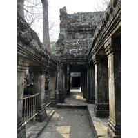 照片 柬埔寨(Cambodia) 暹粒(Siem Reap) 塔布茏寺(Ta Prohm) 2023-01 136