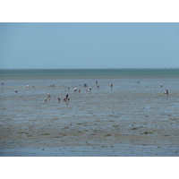 照片 法国(France) 努瓦尔穆捷(Noirmoutier) 2010-07 32