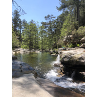 照片 法国(France) 科西嘉岛(Corsica) 艾托内森林(Aitone Forest) 2021-06 32