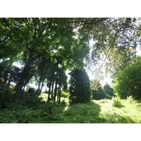 照片 意大利(Italy) 帕拉维奇诺别墅(Villa Pallavicino) 2009-06 27