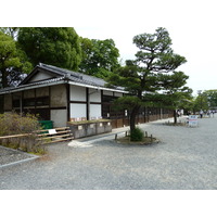 照片 日本(Japan) 京都(Kyoto) 二条城(Nijo Castle) 2010-06 0