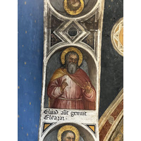 照片 意大利(Italy) 帕多瓦(Padua) 2022-05 141