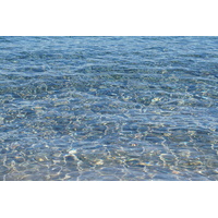 照片 法国(France) 科西嘉岛(Corsica) 龙迪纳拉海滩(Rondinara Beach) 2017-07 19