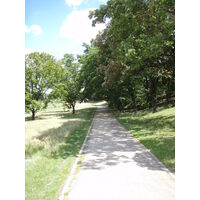 照片 法国(France) 科隆布(Colombes) 马朗特岛(L'ile Marrante) 2007-07 6