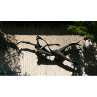 照片 法国(France) 巴黎(Paris) 米埃特门(Porte de la Muette) 2007-08 12