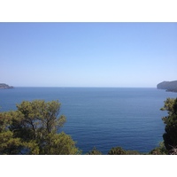 照片 意大利(Italy) 撒丁岛(Sardinia) 孔特港地区自然公园(Porto Conte Regional Natural Park) 2015-06 19