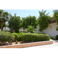 照片 埃及(Egypt) 沙姆沙伊赫(Sharm el Sheikh) 凯悦酒店(Hyatt Hotel) 2008-06 173
