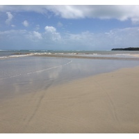 照片 哥斯达黎加(Costa Rica) 卡维塔(Cahuita) 2015-03 155