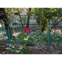 照片 柬埔寨(Cambodia) 暹粒(Siem Reap) 柬埔寨地雷博物馆(Cambodia Landmine Museum) 2023-01 11
