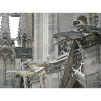 照片 法国(France) 巴黎(Paris) 巴黎圣母院(Notre Dame) 2007-05 84