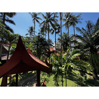 照片 泰国(Thailand) 普吉岛(Phuket) 芭东(Patong) 皇家帕瓦迪村酒店(Royal Phawadee Village Hotel) 2021-12 14