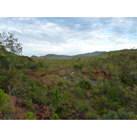 照片 新喀里多尼亚(New Caledonia) 蓝河公园(Parc de la Riviere Bleue) 2010-05 133