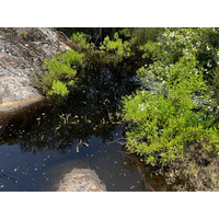 照片 法国(France) 科西嘉岛(Corsica) 凡戈河(Fango river) 2023-06 5