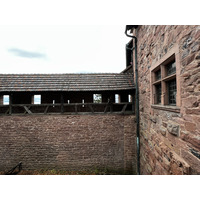 照片 法国(France) 上国王堡(Koenigsbourg Castle) 2023-10 130
