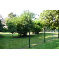 照片 法国(France) 巴黎(Paris) 巴黎植物园(Jardin des Plantes) 2007-08 89