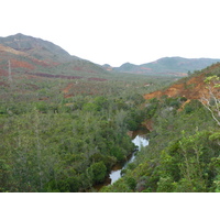 照片 新喀里多尼亚(New Caledonia) 蓝河公园(Parc de la Riviere Bleue) 2010-05 89