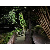 照片 泰国(Thailand) 普吉岛(Phuket) 卡伦海滩(Karon Beach) 岩石上餐厅(On the rock Restaurant) 2021-12 19