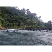 照片 哥斯达黎加(Costa Rica) 帕夸雷河(Pacuare River) 2015-03 118