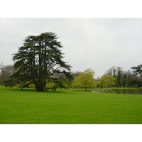照片 英国(United Kingdom) 利兹城堡(Leeds castle) 2001-04 2