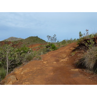 照片 新喀里多尼亚(New Caledonia) 蓝河公园(Parc de la Riviere Bleue) 2010-05 117