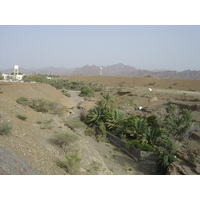 照片 阿曼(Oman) 布赖米至苏哈尔公路(Buraimi to Sohar road) 2005-03 22