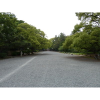 照片 日本(Japan) 京都(Kyoto) 京都御苑(Kyoto Gyoen Garden) 2010-06 7