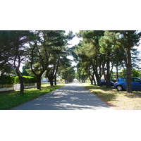 照片 法国(France) 滨海拉普莱讷(La Plaine sur mer) 勒科尔米耶(Le Cormier) 2007-07 42