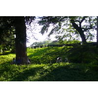 照片 法国(France) 巴黎(Paris) 巴黎植物园(Jardin des Plantes) 2007-08 79