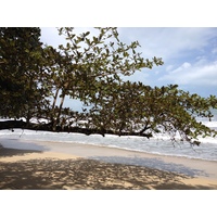 照片 哥斯达黎加(Costa Rica) 卡维塔(Cahuita) 2015-03 156