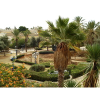 照片 以色列(Israel) 雅法(Jaffa) 2006-12 101