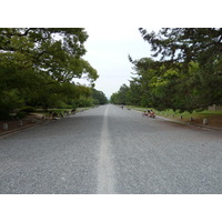 照片 日本(Japan) 京都(Kyoto) 京都御苑(Kyoto Gyoen Garden) 2010-06 58