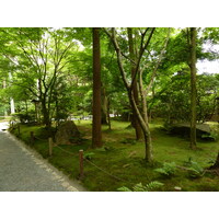 照片 日本(Japan) 京都(Kyoto) 龙安寺(Ryoanji Temple) 2010-06 69