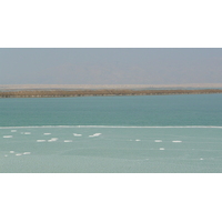 照片 以色列(Israel) 埃因博克(Boqeq) 2007-06 2