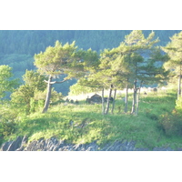 照片 英国(United Kingdom) 格伦科(Glen Coe) 2011-07 62