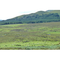 照片 英国(United Kingdom) 斯凯岛(Skye) 库林山脉(The Cuillin) 2011-07 34