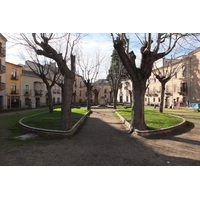 照片 西班牙(Spain) 罗德里戈城(Ciudad Rodrigo) 2013-01 3