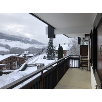 照片 法国(France) 阿尔利河畔普拉(Praz sur Arly) 2019-12 385