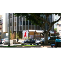 照片 以色列(Israel) 特拉维夫(Tel Aviv) 罗斯柴尔德大道(Rothschild Street) 2007-06 19
