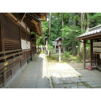 照片 日本(Japan) 京都(Kyoto) 京都御苑(Kyoto Gyoen Garden) 2010-06 11